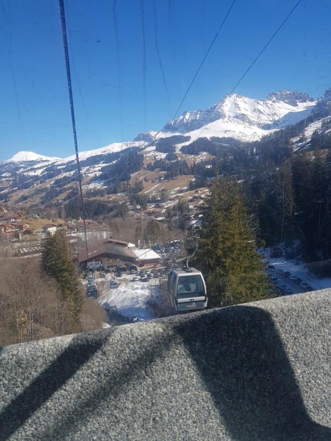 Chalet Gruneggli Adelboden Extérieur photo